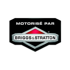 Briggs&Stratton